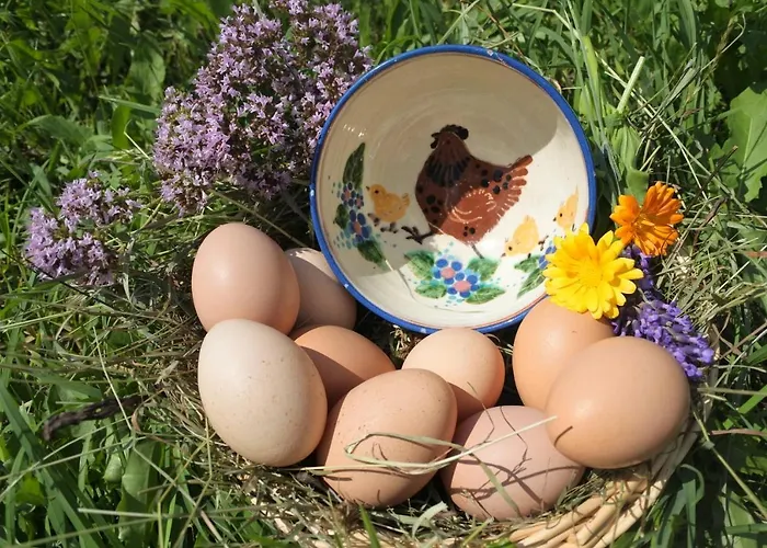 Biohof Teufel * Lunz am See