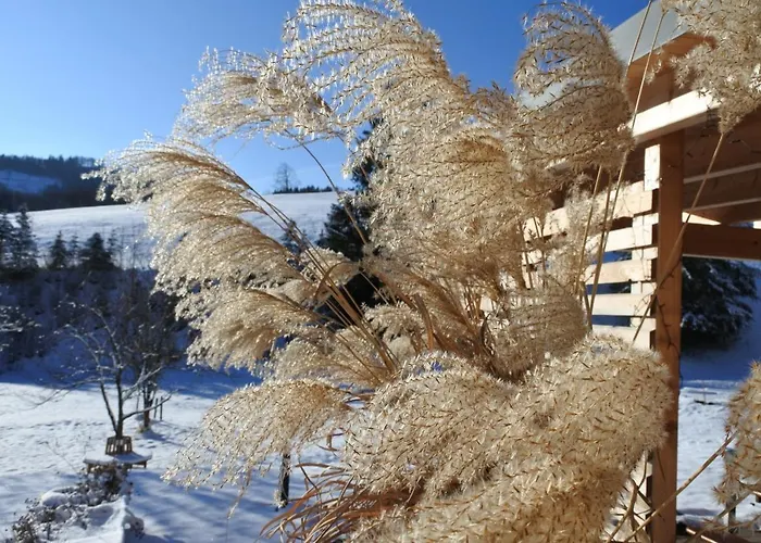 Biohof Teufel Feriegård